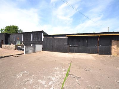 Picture 17